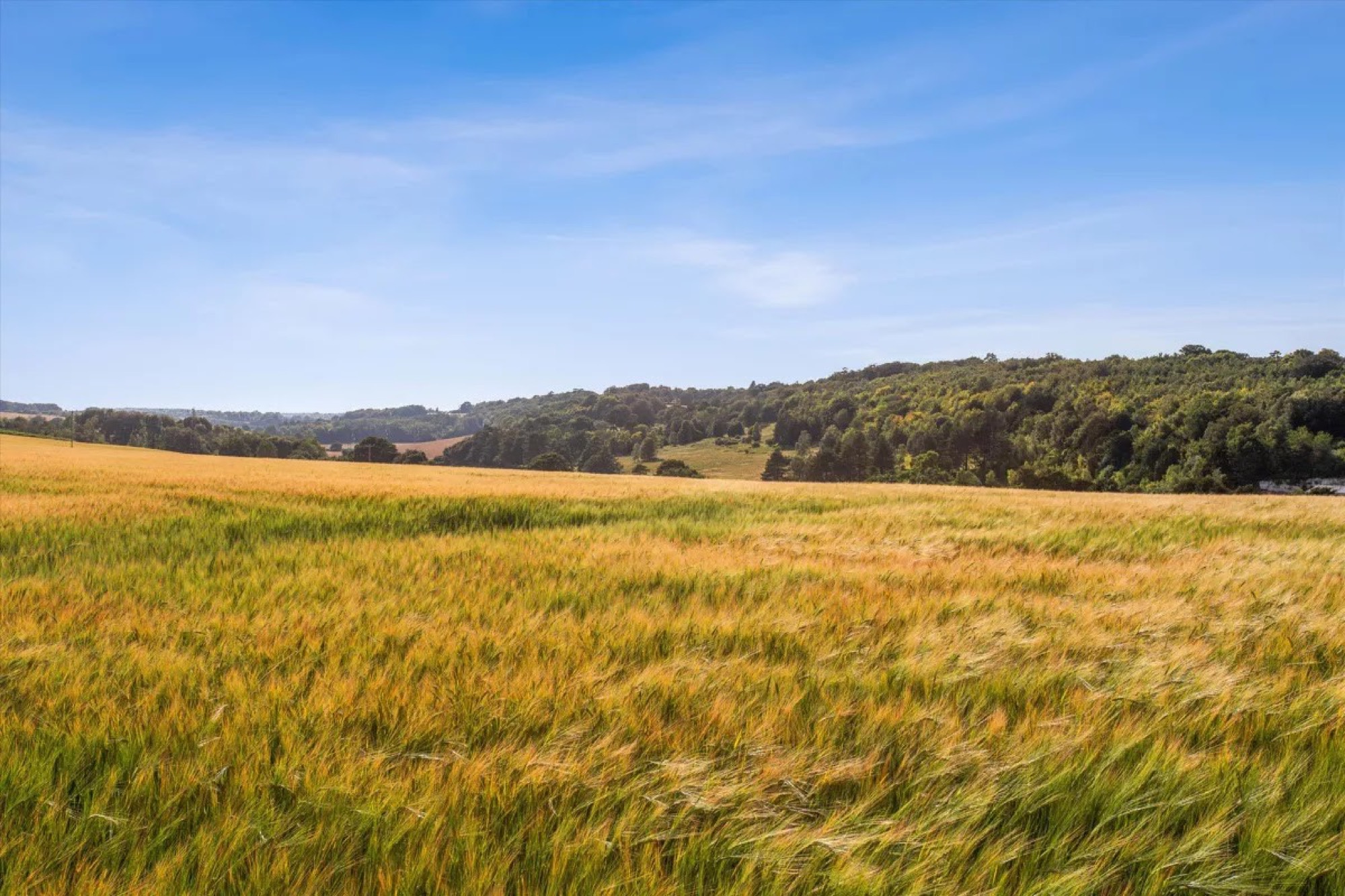 Countryside near the site